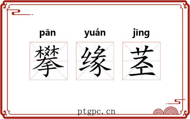 攀缘茎 攀缘茎