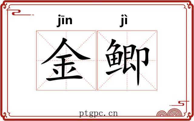 金鲫 金鲫