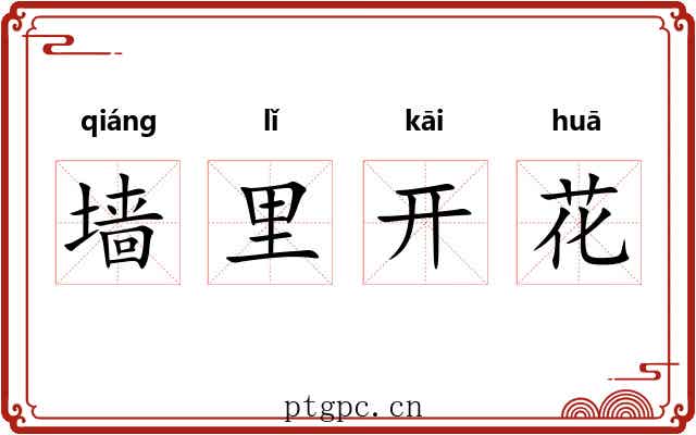 墙里开花 墙里开花