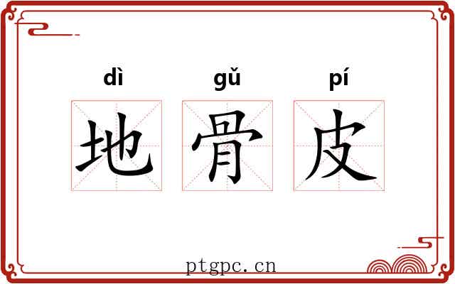 地骨皮 地骨皮
