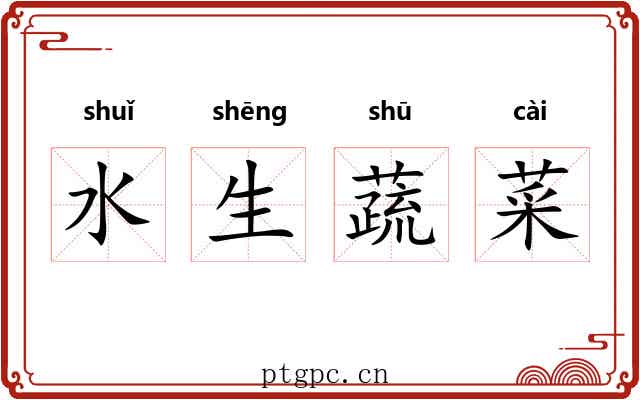 水生蔬菜 水生蔬菜