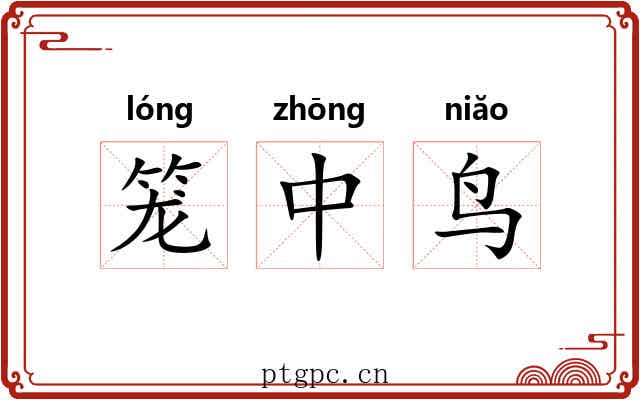笼中鸟 笼中鸟