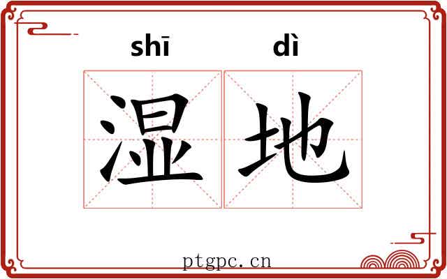湿地 湿地