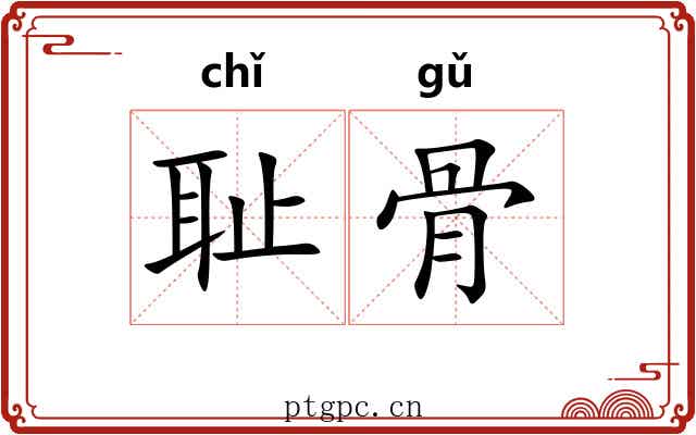 耻骨