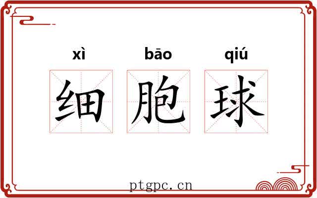 细胞球 细胞球