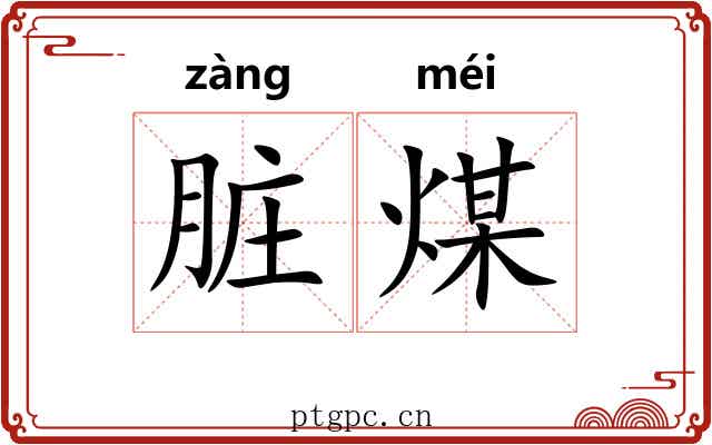 脏煤