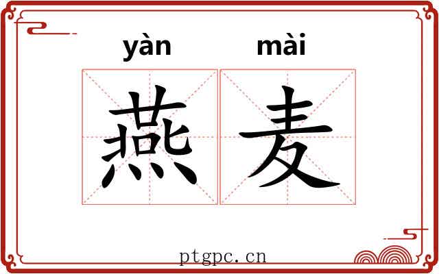 燕麦 燕麦