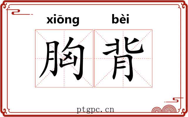 胸背 胸背