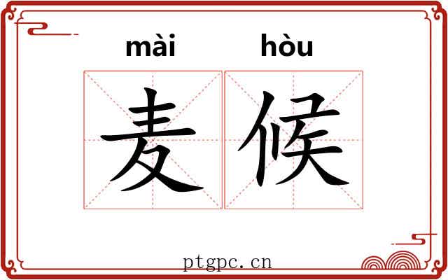 麦候