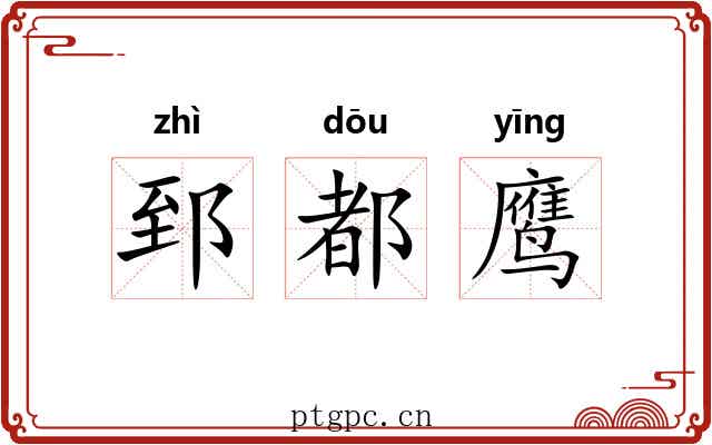 郅都鹰