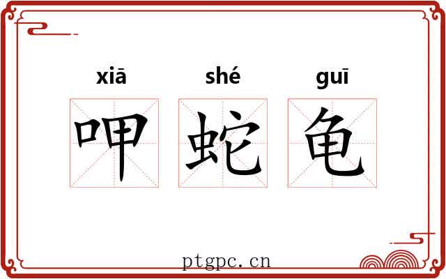 呷蛇龟 呷蛇龟