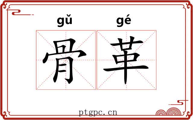 骨革 骨革
