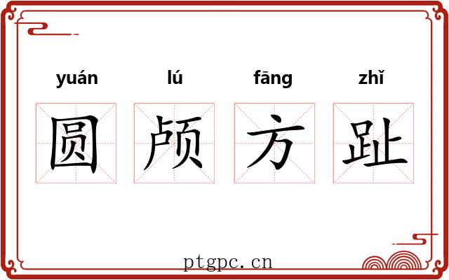圆颅方趾 圆颅方趾