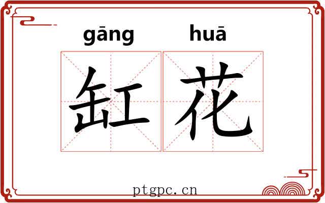 缸花 缸花