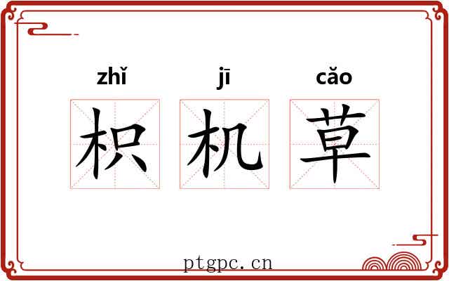 枳机草 枳机草
