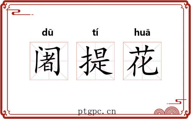 阇提花 阇提花