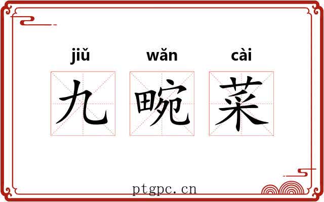 九畹菜