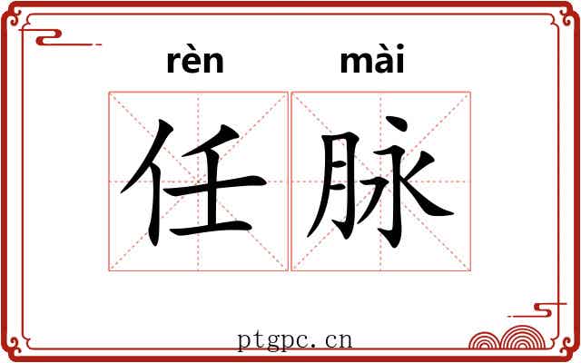 任脉 任脉