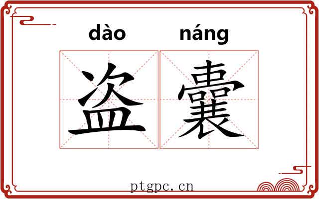 盗囊
