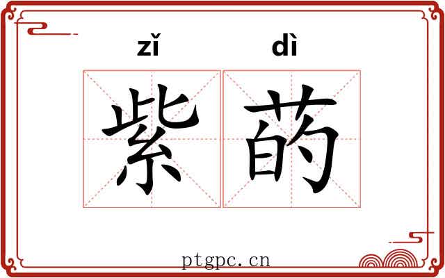 紫菂