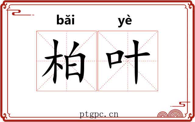 柏叶