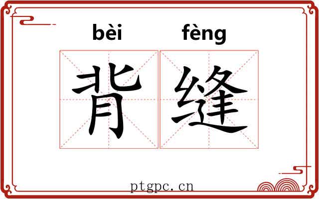 背缝 背缝