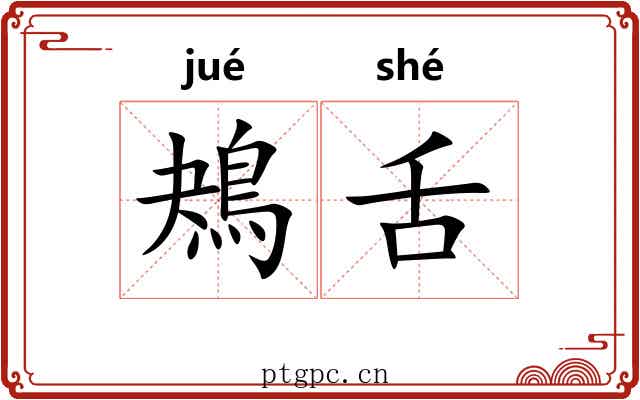 鴂舌