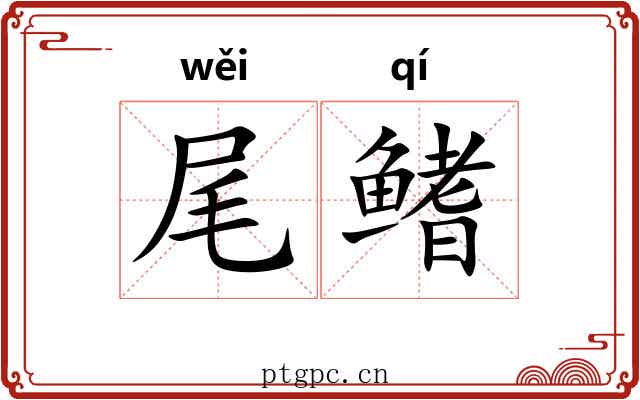 尾鳍