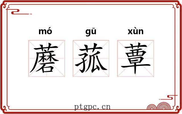 蘑菰蕈