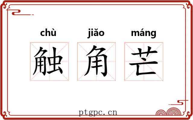 触角芒 触角芒