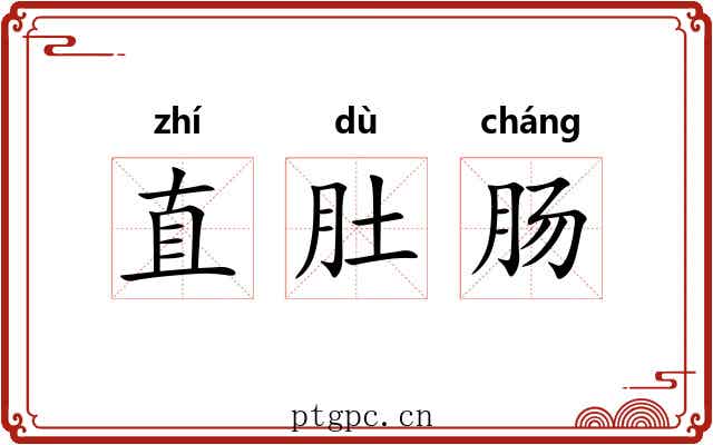 直肚肠
