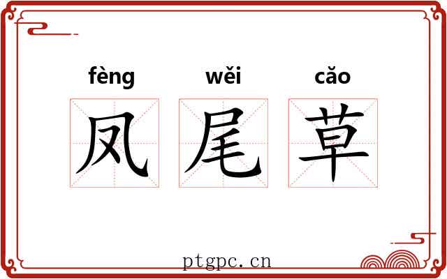 凤尾草