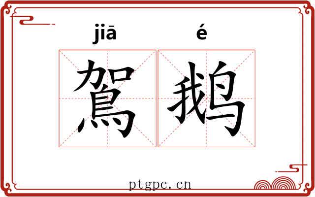 鴐鹅