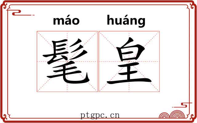 髦皇
