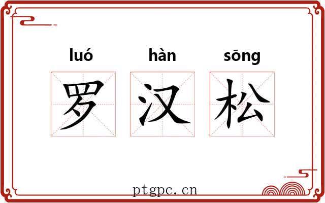 罗汉松 罗汉松