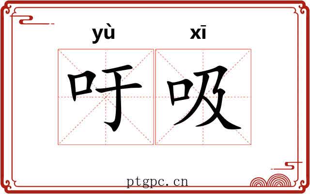 吁吸