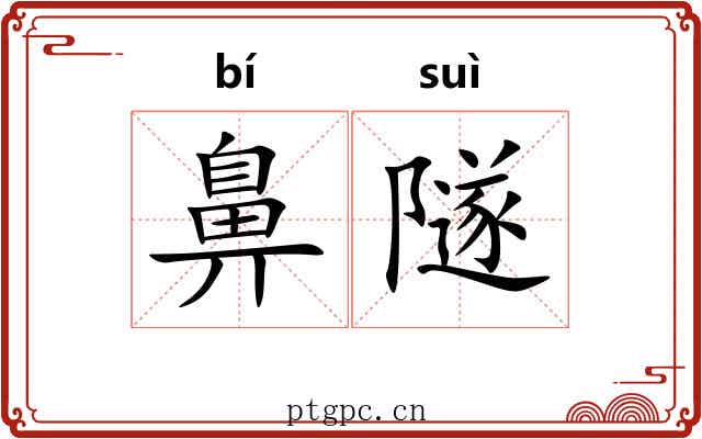 鼻隧