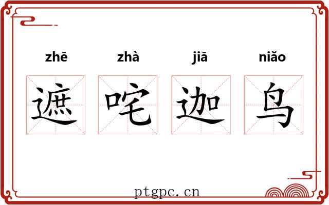 遮咤迦鸟