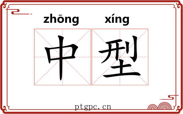 中型 中型