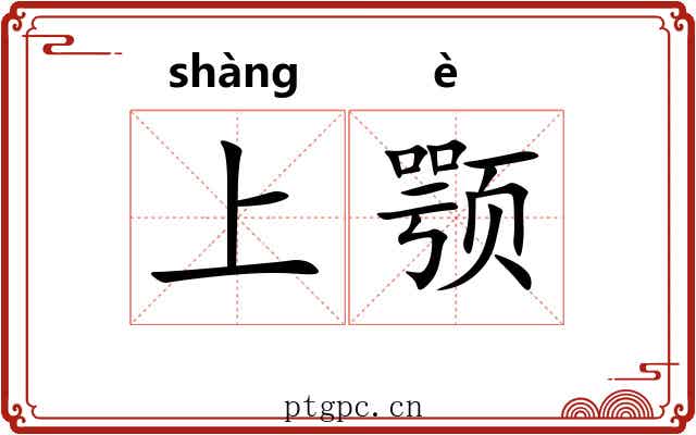 上颚 上颚