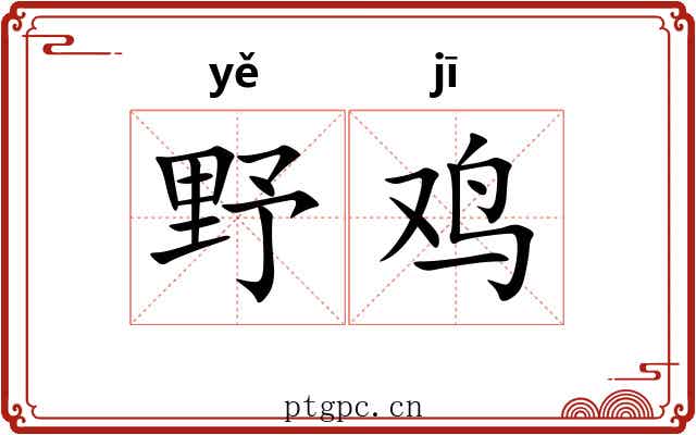 野鸡 野鸡