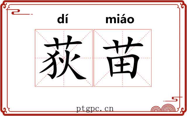 荻苗