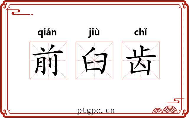 前臼齿 前臼齿