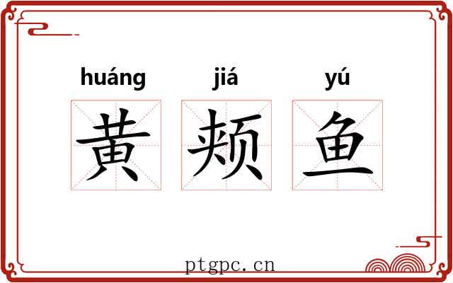 黄颊鱼 黄颊鱼