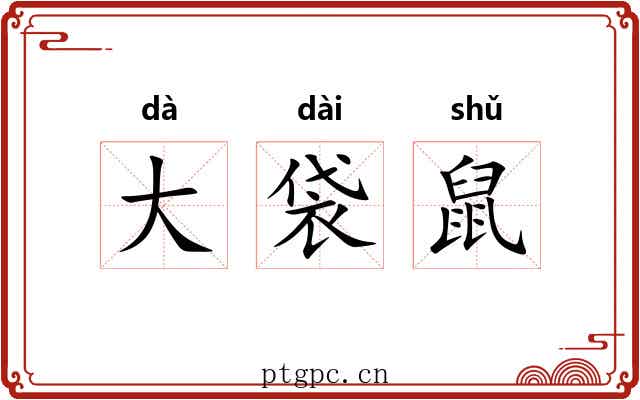 大袋鼠 大袋鼠