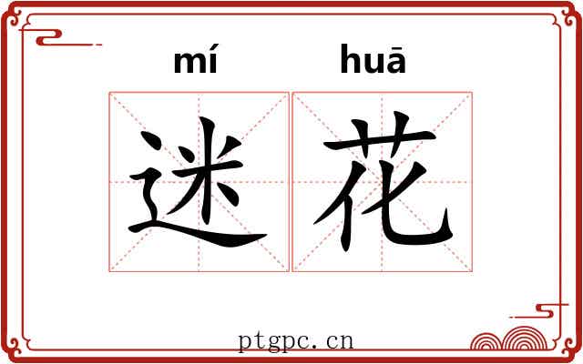 迷花 迷花