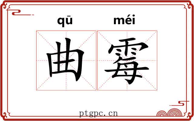 曲霉 曲霉