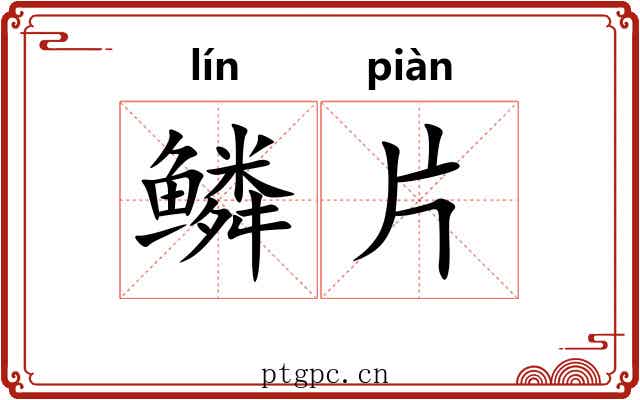 鳞片 鳞片