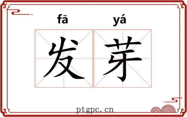 发芽 发芽