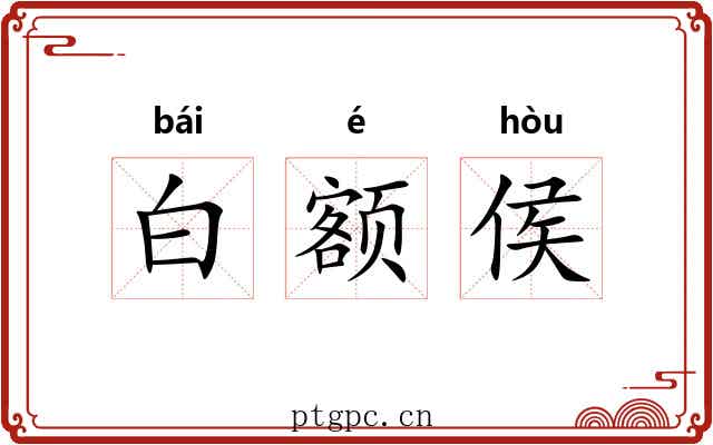 白额侯 白额侯
